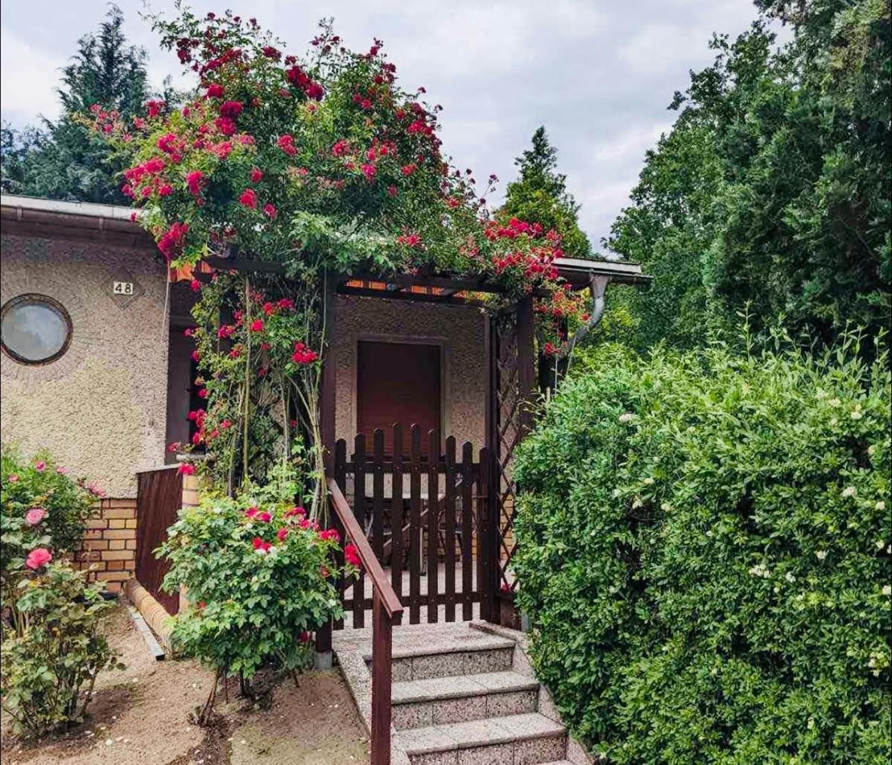 Gruener Bungalow Am Kiebitzsee Villa Falkenberg/Elster Exterior photo